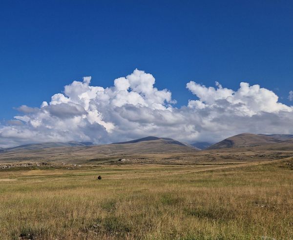 Նշխարկայի եկեղեցի