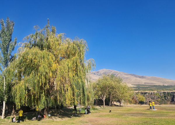 Սաղմոսավանք