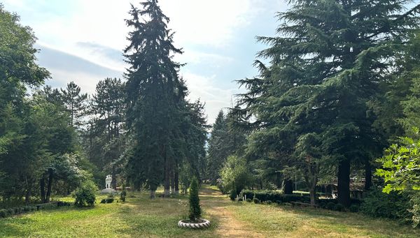 Սորանի այգի
